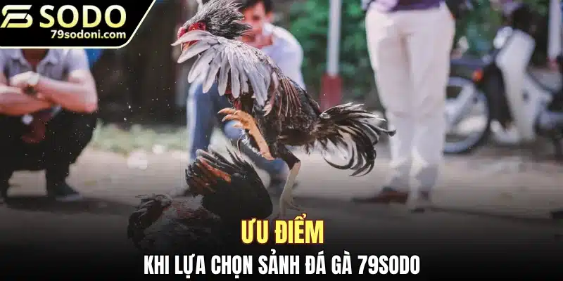 Ưu điểm khi lựa chọn sảnh đá gà 79Sodo